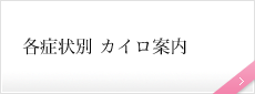 各症状別 カイロ案内